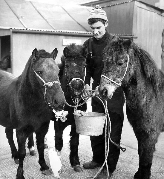 Mr. Leslie Moffat, who runs Carlisles rest home for horses
