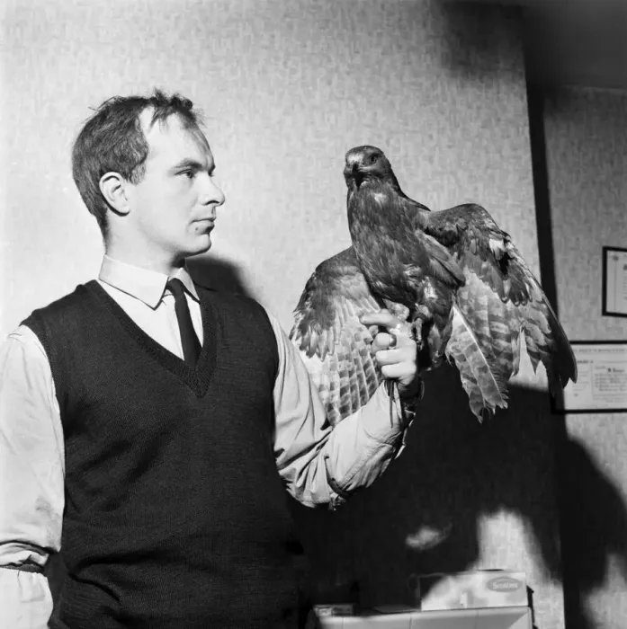 Framed Print : Mr. Michael John Hooper, Inspector RSPCA, holding a young Honey Buzzard Framed Print : Mr. Michael John Hooper, Inspector RSPCA, holding a young Honey Buzzard