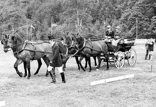 Mr. P. B. Hoffman, from Florida, puts his carriage team through its paces at Lowther