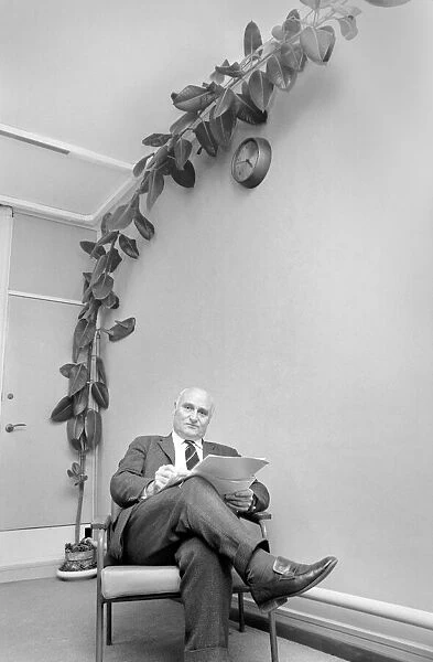 Mr. Wilf Berrill and Giant Rubber Tree Plant (Unusual). January 1975 75-00331-003