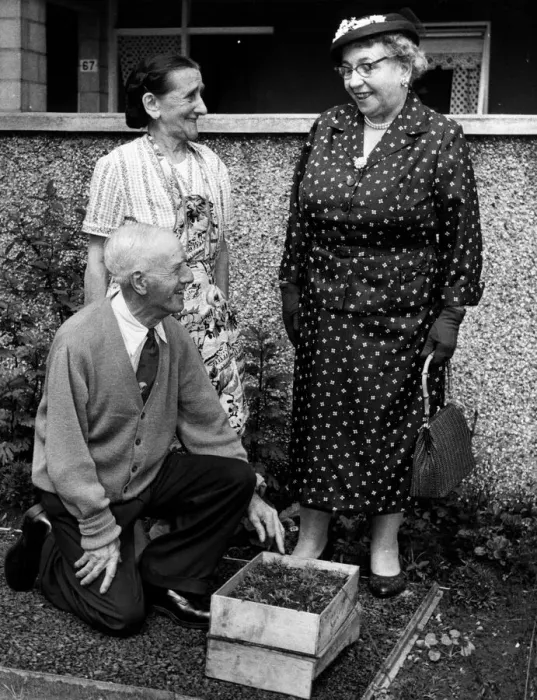 Framed Print : Mrs Alice Cullen MP for the Gorbals, has another look at the modern flats in Lawmoor Framed Print : Mrs Alice Cullen MP for the Gorbals, has another look at the modern flats in Lawmoor