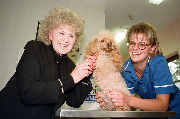 Mrs Beryl Cartmale with one legged poodle Amber and PDSA veterinary nurse Mandy Woodall