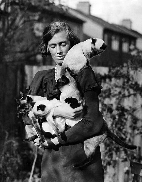 Mrs Catt from Carshalton Beeches with some of her Siamese cats