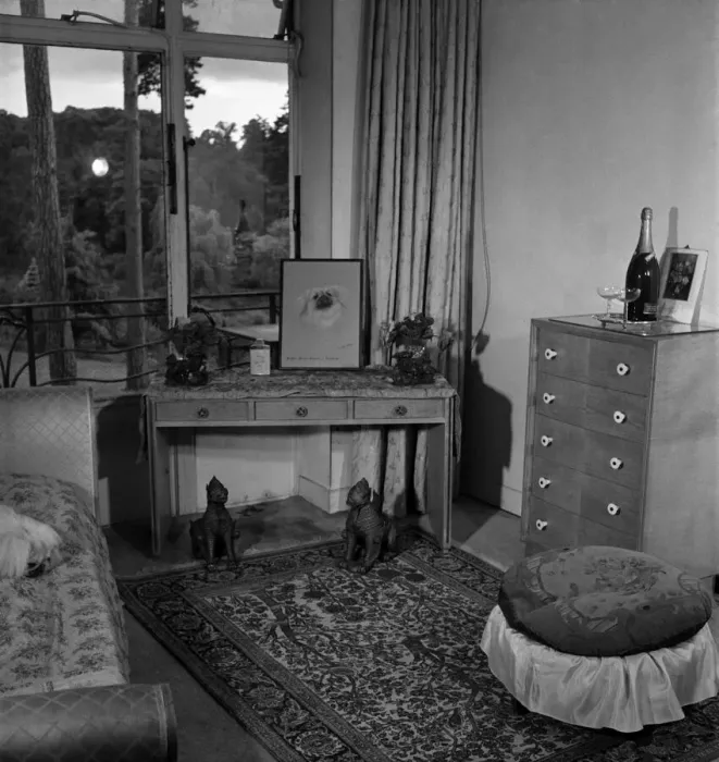 Framed Print : Mrs. E. Giloert. Pekinese Dogs. June 1952 C2813-001 Framed Print : Mrs. E. Giloert. Pekinese Dogs. June 1952 C2813-001
