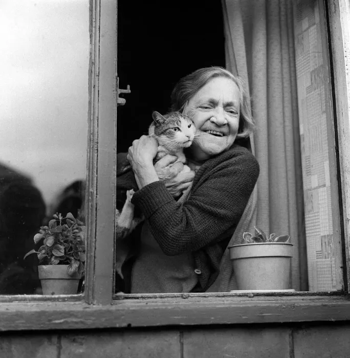 Framed Print : Mrs Eliza Mooney and her cat prudence May 1971 Thieves broke into Mrs Mooney Framed Print : Mrs Eliza Mooney and her cat prudence May 1971 Thieves broke into Mrs Mooney