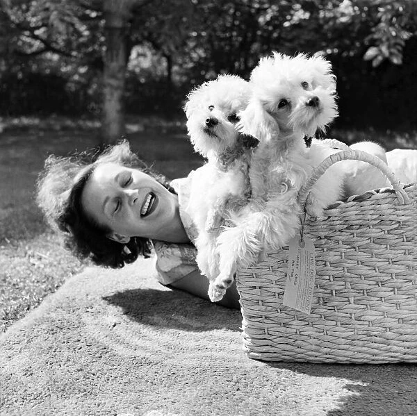 Mrs. Harold Cox and puppies. September 1953 D5538