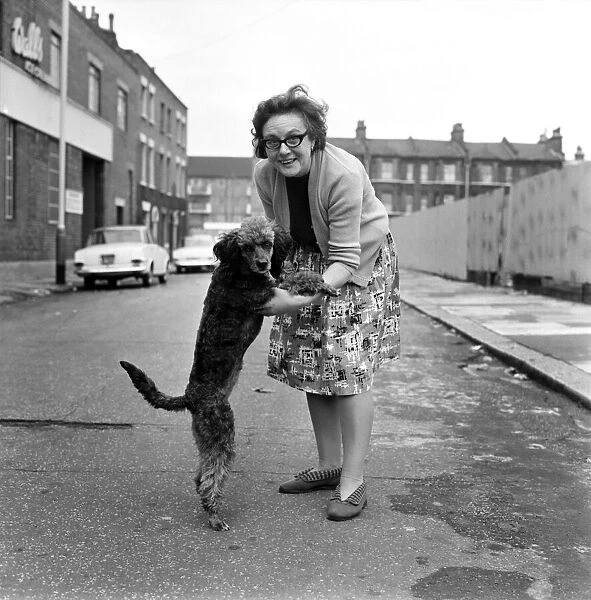 Mrs. Ivy Fuller of Gundulf Street, Kennington, with her grey poodle which has a foot-long