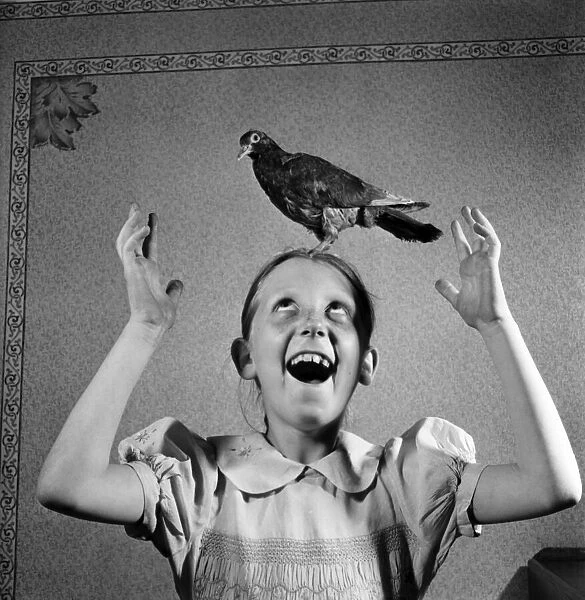 Mrs. Jessie Howe with the pigeon she restored to health after it had been attacked by a