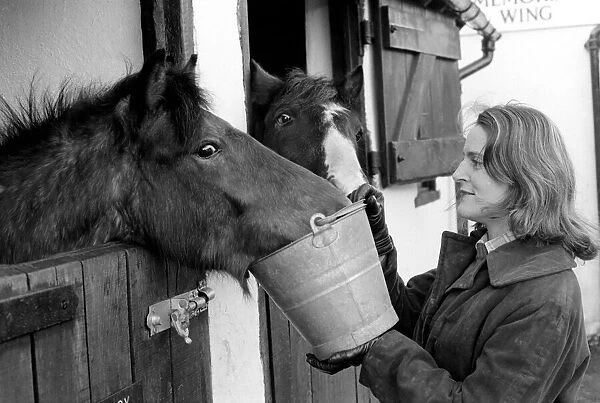 Mrs. Jill Gibbs looking at two ponies. January 1975 75-00376-002