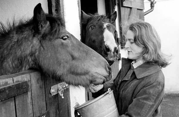 Mrs. Jill Gibbs looking at two ponies. January 1975 75-00376-004