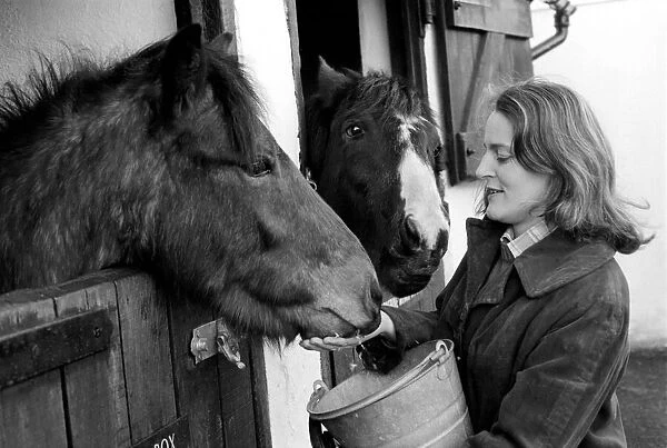 Mrs. Jill Gibbs looking at two ponies. January 1975 75-00376-001