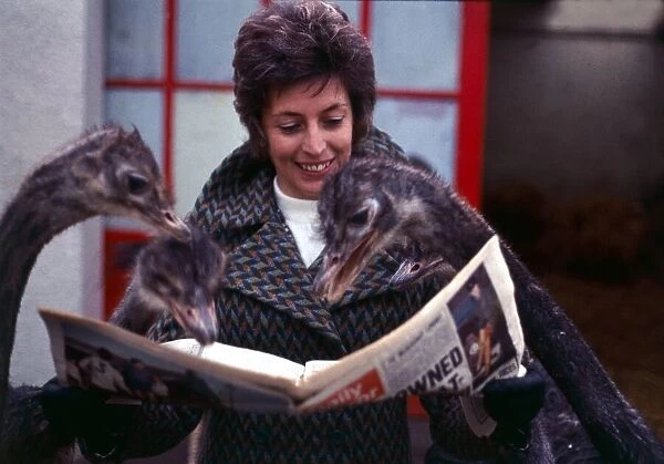 Mrs Louise Stephenson with her pet ostriches reading the newspaper at her home in