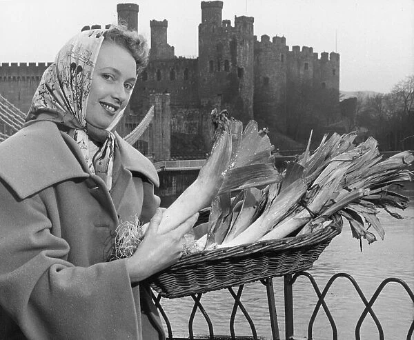 Mrs Margaret Kenyon holding a basket of leeks as she stands in front of Conwy Castle in