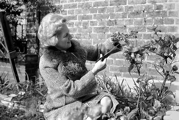 Mrs. Margaret Thatcher enjoying the sunshine in her front garden of her London Home