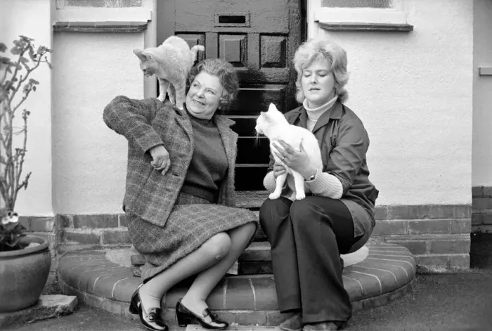 Framed Print : Mrs. Millicent Grover, proprieters of the hotel for cats with TV star cat Tina on her