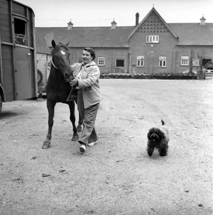 Framed Print : Mrs. Moss a livestock farmer seen here with her horse and pet dog in the farm yard Framed Print : Mrs. Moss a livestock farmer seen here with her horse and pet dog in the farm yard