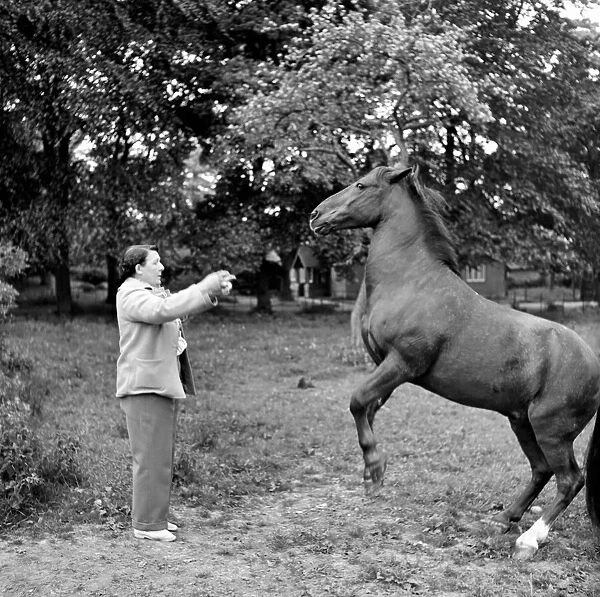 Mrs. Moss seen here with her horses. 1954 A145d-002