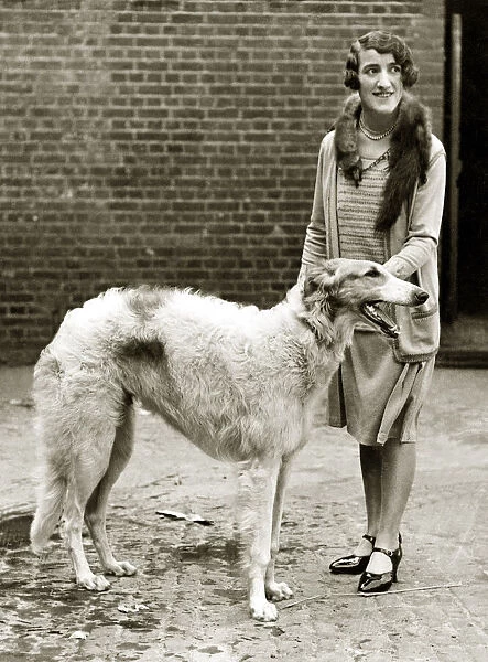 Mrs P Lewis and her Borzoi dog Her Borzoi won two second prizes