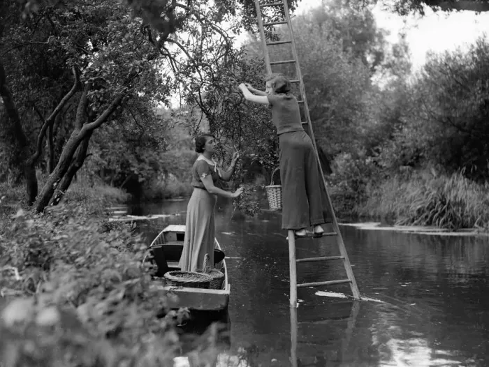 Framed Print : Mrs Page Smith and companions seen here at Island House, Longford, Middlesex