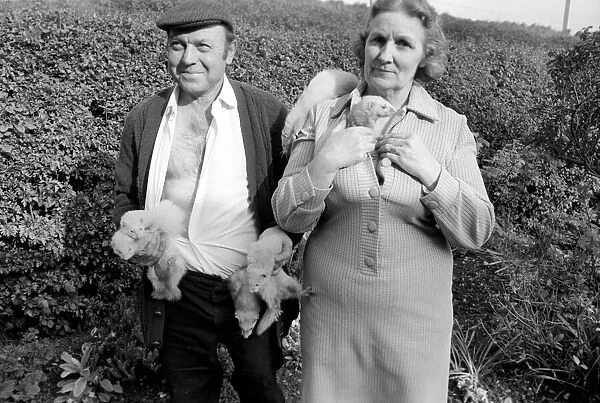 Mrs Queenie Robinson pictured with her husband her pet Ferrets. May 1975