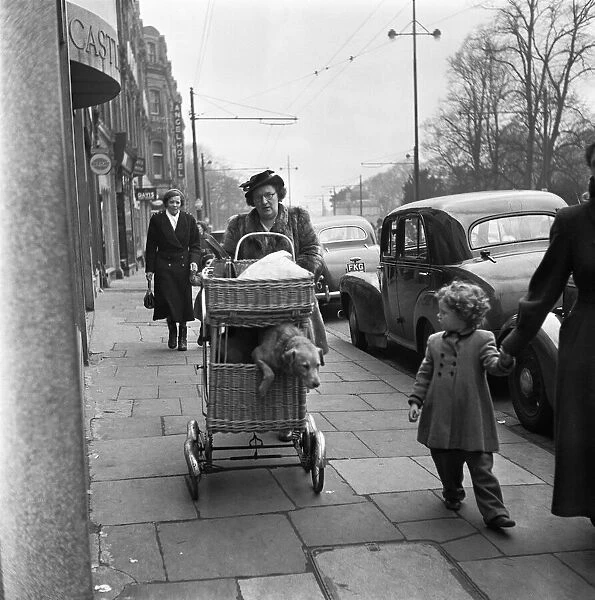 Mrs Robina Jenkins of Piersfield Place, Cardiff, seen here taking her dogs Pedro