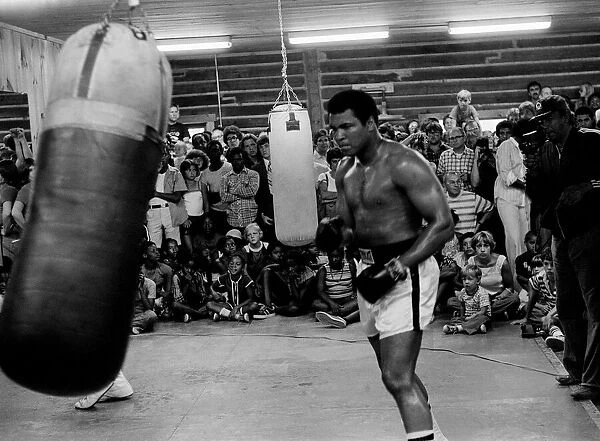 Muhammad Ali Boxer August 1978 (aka Cassius Clay) training for the fight with Leon
