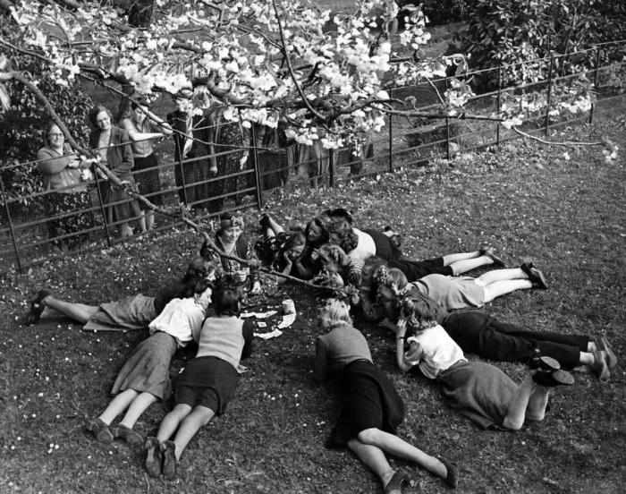 Framed Print : Munitions workers taking in the sunshine as they have their fortunes told by Miss Ethel Framed Print : Munitions workers taking in the sunshine as they have their fortunes told by Miss Ethel