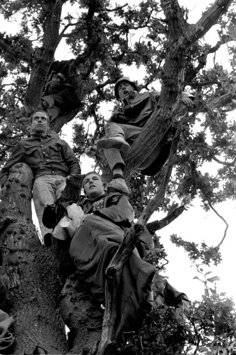 Framed Print : Music Fans watching from up a tree at The Isle of Wight Pop Festival 30th August
