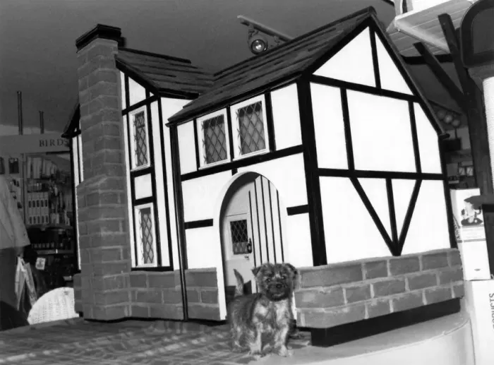 Framed Print : Mutts Mansion For a dog who likes style, here