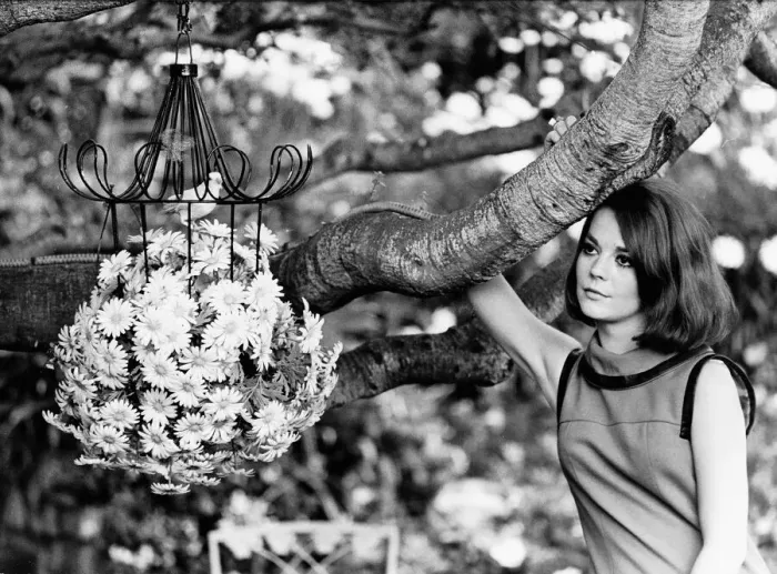 Framed Print : Natalie Wood actress in garden Framed Print : Natalie Wood actress in garden