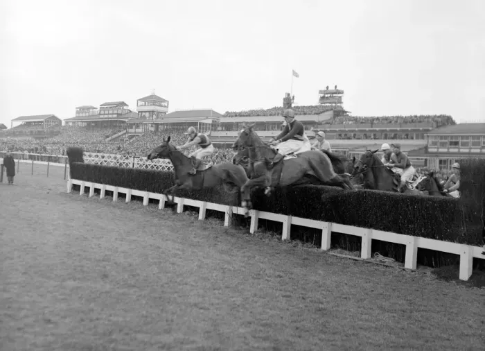 Framed Print : National Hunt Meeting at Cheltenham. Horses take the second jump with the Grandstand in Framed Print : National Hunt Meeting at Cheltenham. Horses take the second jump with the Grandstand in