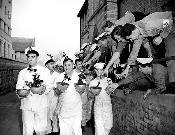 Navy cooks with Christmas puddings. 23rd November 1956 Local Caption