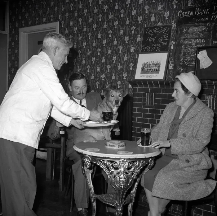 Framed Print : Nemo is served a pint of beer at his local pub November 1959 1950s Framed Print : Nemo is served a pint of beer at his local pub November 1959 1950s