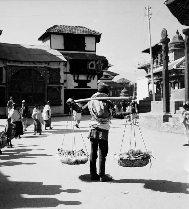 Framed Print : A Nepalese market trader seen here carrying his onions to market in Durbar Square