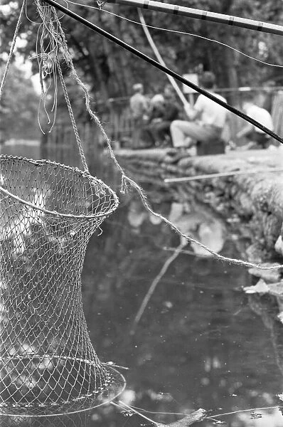 Keep net belonging to boys fishing in Battersea Park 7th August 1963