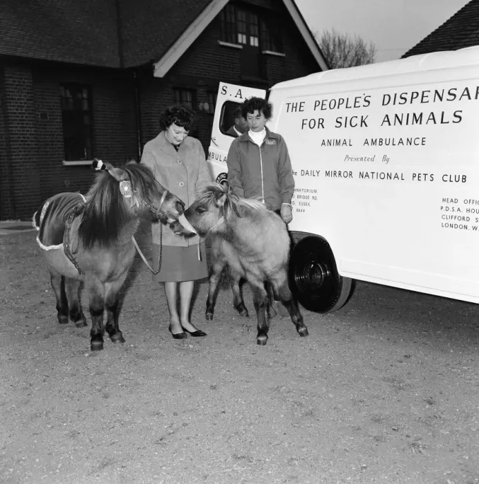 Framed Print : The new ambulance for animals presented by the Daily Mirror National Pets Club to Framed Print : The new ambulance for animals presented by the Daily Mirror National Pets Club to