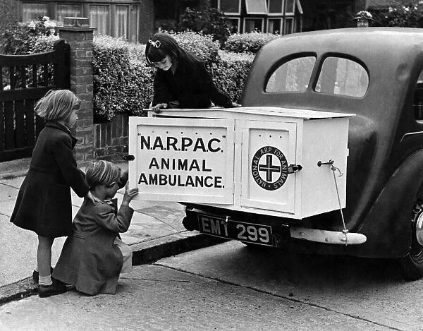 A New type of animal ambulance which is a big cabinet fitted on the back of any motor car
