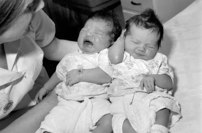 Framed Print : New Year babies at St. Teresas Wimbledon. The new baby girls born within two hours