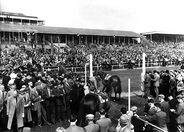 Newcastle Races at Gosforth Park. The crowd around the parade ring before the start of