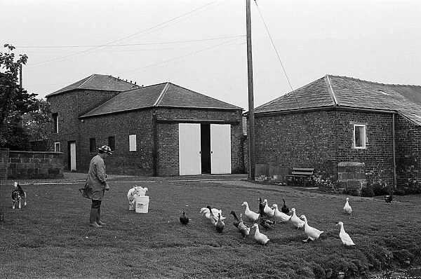 Newham Grange Leisure Farm, Coulby Newham, Middlesbrough, North Yorkshire. June 1980