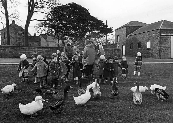 Newham Grange Leisure Farm, Coulby Newham, Middlesbrough, North Yorkshire. 1982