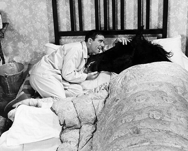 Norman Wisdom Comedian Actor in bed with Nellie the Horse in a scene from the film The