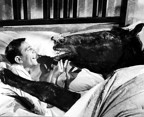 Norman Wisdom Comedian  /  Actor in bed with Nellie the Horse in a scene from the film
