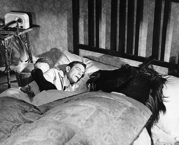 Norman Wisdom Comedian Actor in bed with Nellie the Horse in a scene from the film '