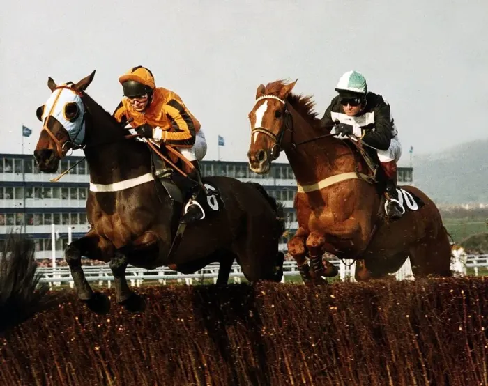 Framed Print : Nortons Coin goes head to head with Garrison Savannah in the 1991 Cheltenham Gold Cup