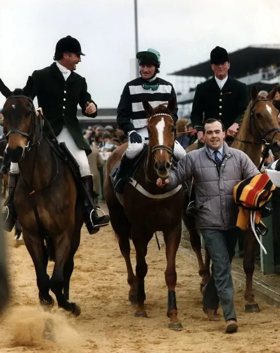 Framed Print : Nortons Coin wins at 100  /  1 the Cheltenham Gold Cup at the Festival