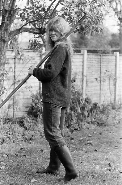 Novelist Jilly Cooper pictured at home in Putney. 1st December 1978