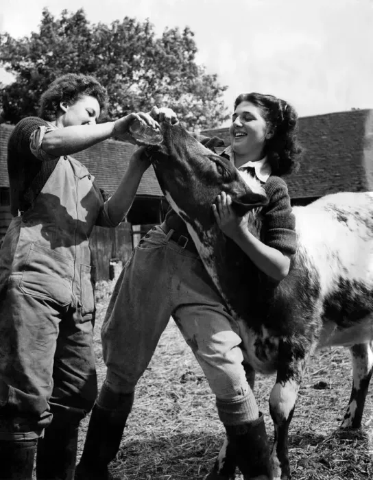Framed Print : There are a number of girls taking the 12 months course in farming Framed Print : There are a number of girls taking the 12 months course in farming