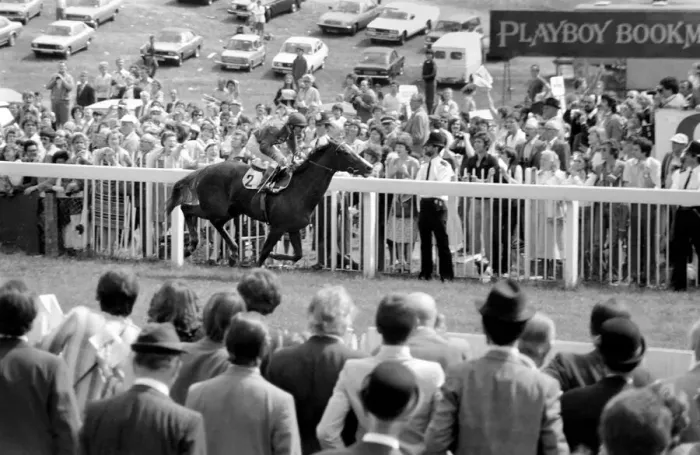 Framed Print : The Oaks at Epsom, won by jockey Willie Carson and trainer Dick Hern Framed Print : The Oaks at Epsom, won by jockey Willie Carson and trainer Dick Hern