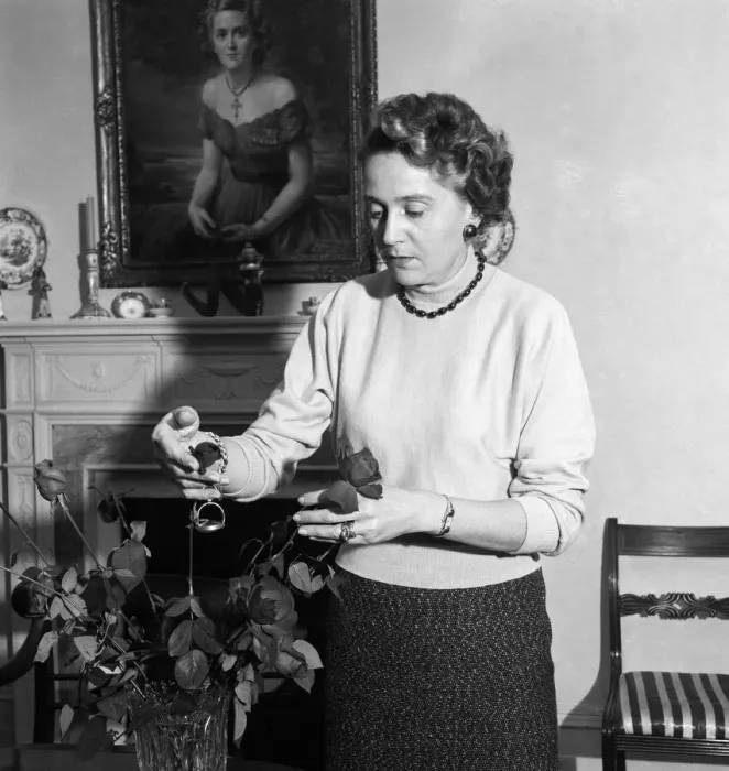 Framed Print : Odette Churchill. 6th November 1953. Odette Churchill. 6th November 1953 Framed Print : Odette Churchill. 6th November 1953. Odette Churchill. 6th November 1953